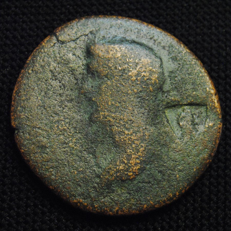 Æ31--Augustus-?-Tiberius-?-Caligula-?-Germanicus-?-Claudius-?-Antonia-?